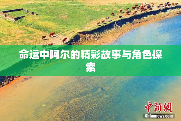 命运中阿尔的精彩故事与角色探索