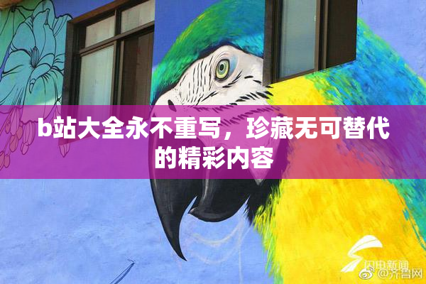 b站大全永不重写，珍藏无可替代的精彩内容