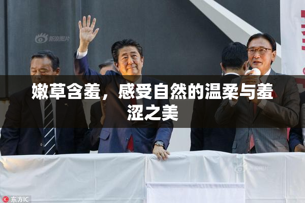 嫩草含羞，感受自然的温柔与羞涩之美