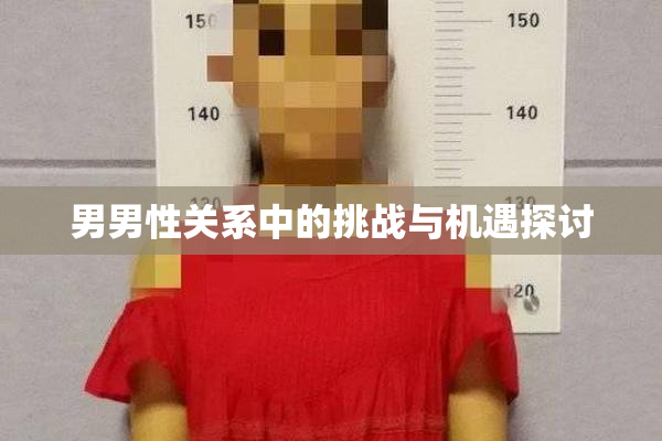 男男性关系中的挑战与机遇探讨