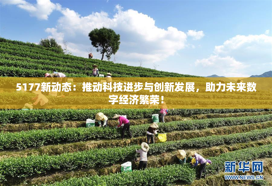 5177新动态：推动科技进步与创新发展，助力未来数字经济繁荣！