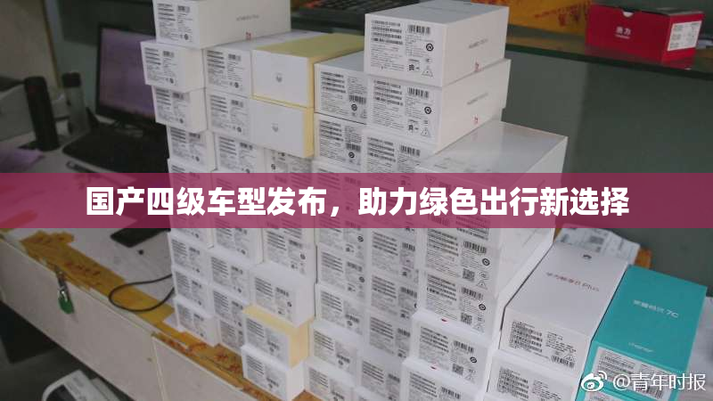国产四级车型发布，助力绿色出行新选择