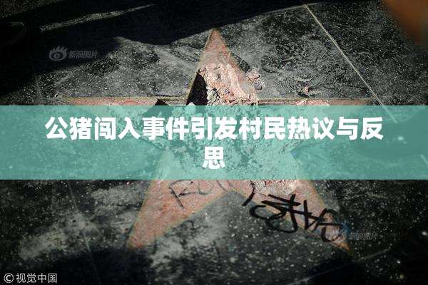 公猪闯入事件引发村民热议与反思