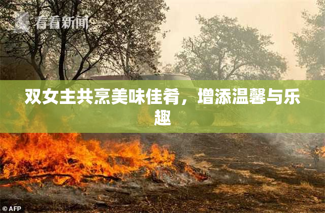 双女主共烹美味佳肴，增添温馨与乐趣
