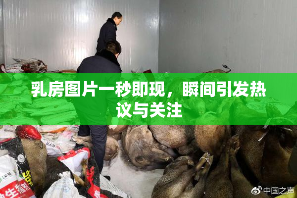 乳房图片一秒即现，瞬间引发热议与关注