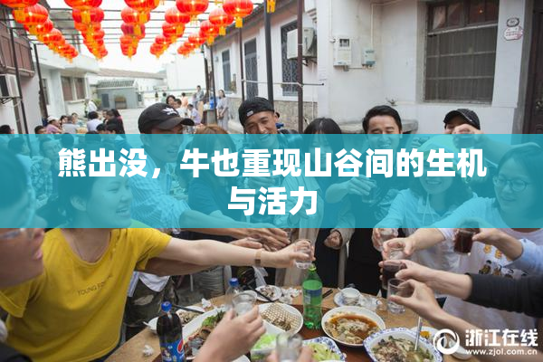 熊出没，牛也重现山谷间的生机与活力