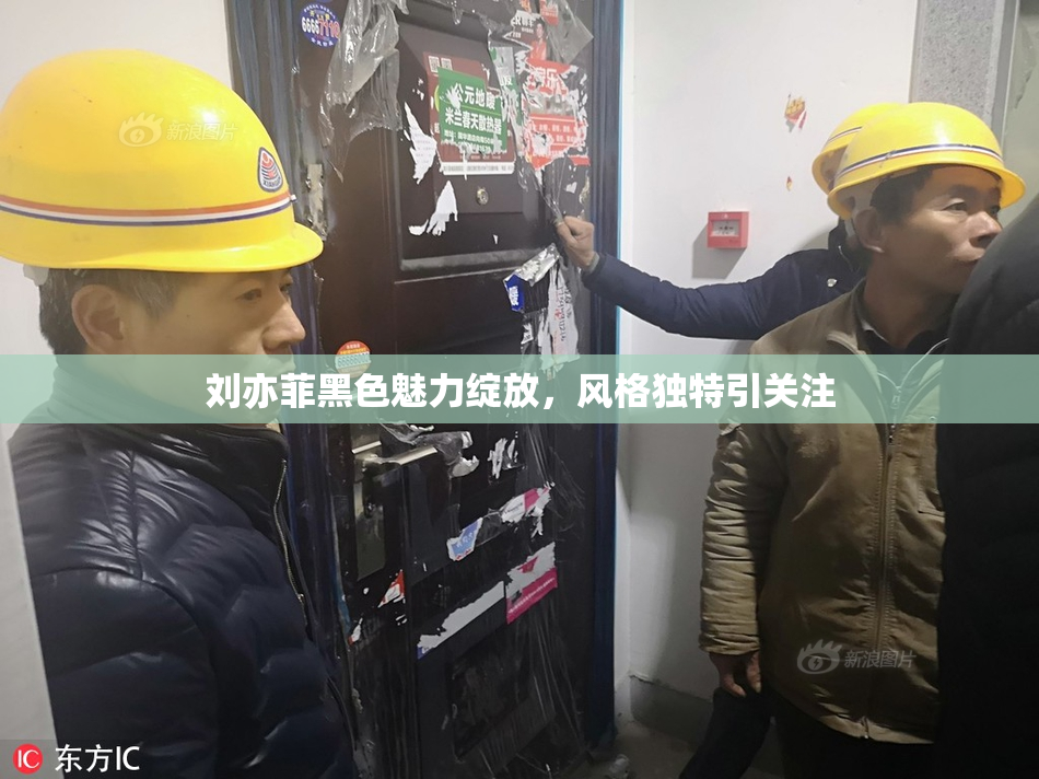 刘亦菲黑色魅力绽放，风格独特引关注