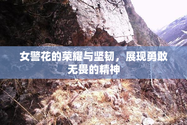 女警花的荣耀与坚韧，展现勇敢无畏的精神
