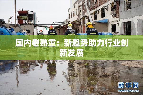 国内老熟重：新趋势助力行业创新发展