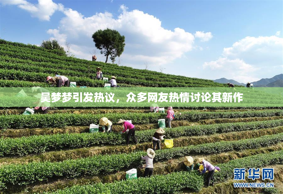 吴梦梦引发热议，众多网友热情讨论其新作