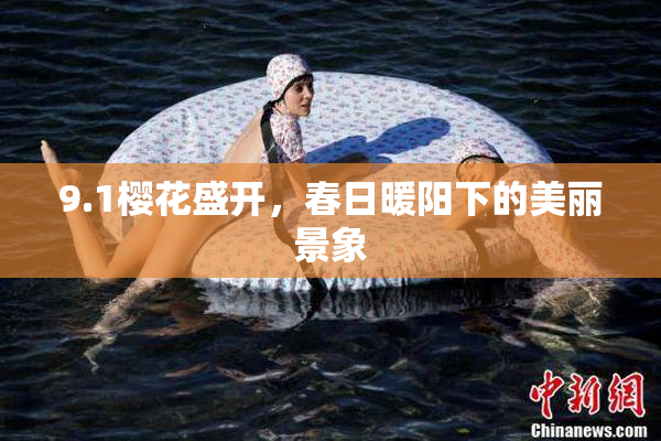 9.1樱花盛开，春日暖阳下的美丽景象