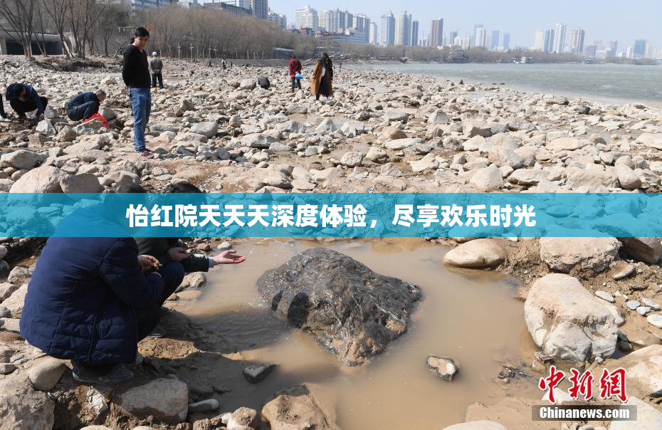 怡红院天天天深度体验，尽享欢乐时光
