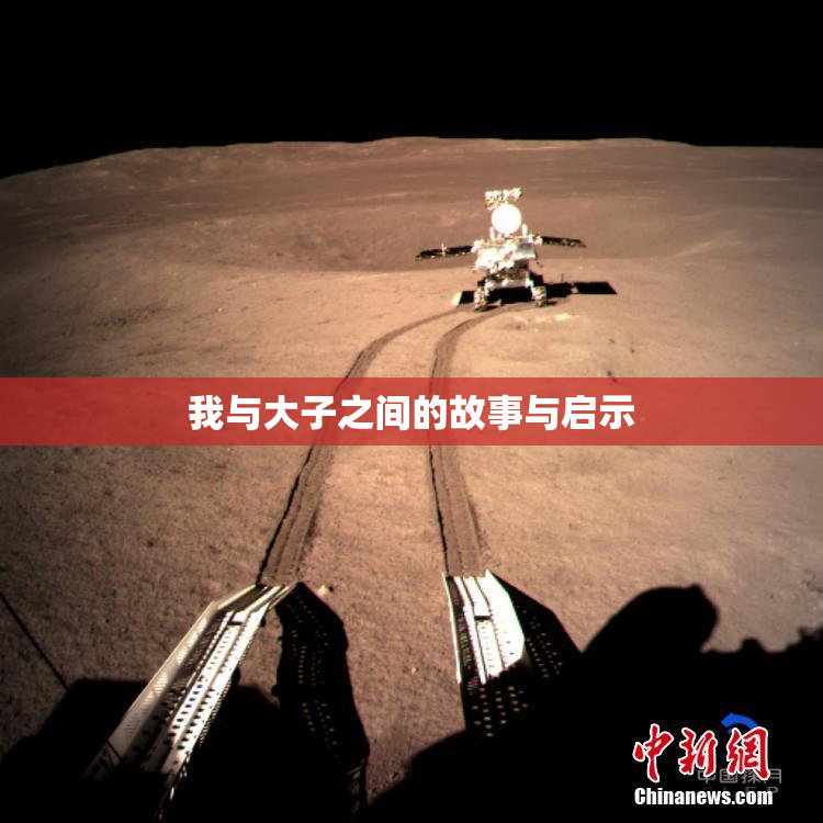 我与大子之间的故事与启示