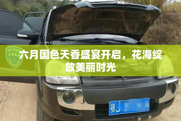 六月国色天香盛宴开启，花海绽放美丽时光