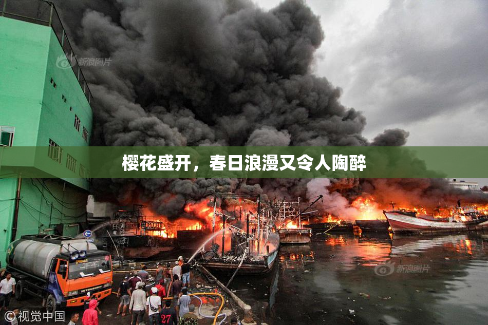 樱花盛开，春日浪漫又令人陶醉