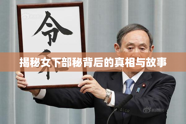 揭秘女下部秘背后的真相与故事