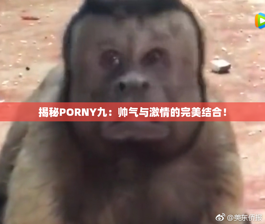 揭秘PORNY九：帅气与激情的完美结合！