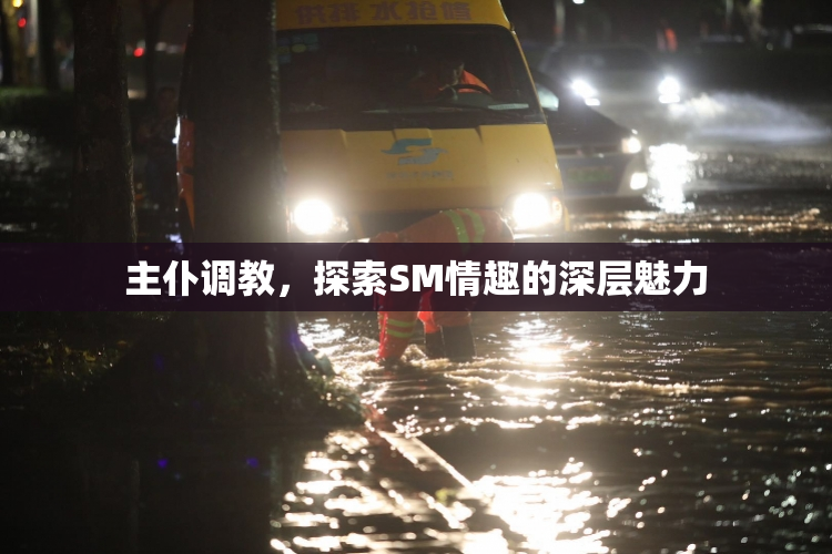 主仆调教，探索SM情趣的深层魅力