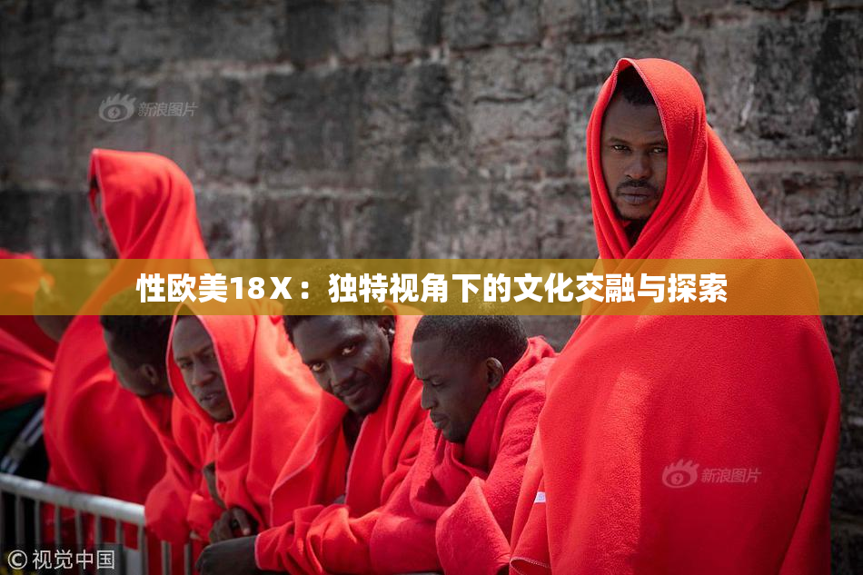 性欧美18Ⅹ：独特视角下的文化交融与探索
