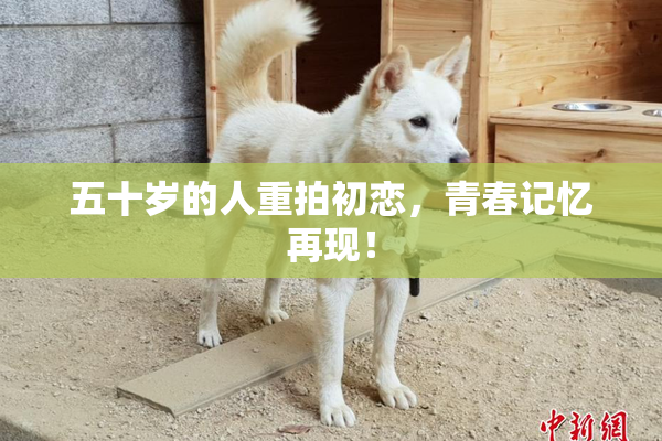 五十岁的人重拍初恋，青春记忆再现！