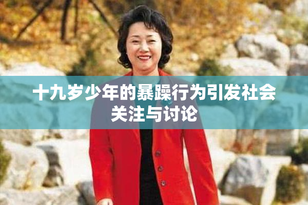 十九岁少年的暴躁行为引发社会关注与讨论