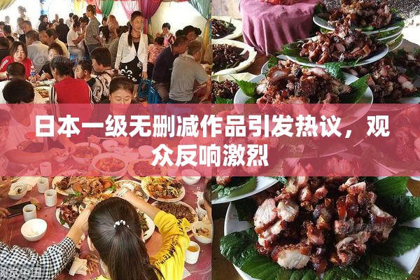 日本一级无删减作品引发热议，观众反响激烈
