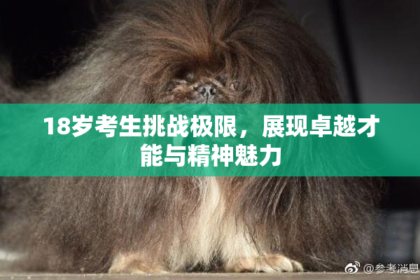 18岁考生挑战极限，展现卓越才能与精神魅力