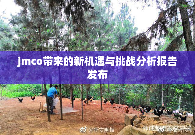 jmco带来的新机遇与挑战分析报告发布