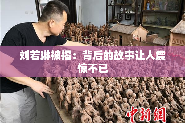 刘若琳被揭：背后的故事让人震惊不已