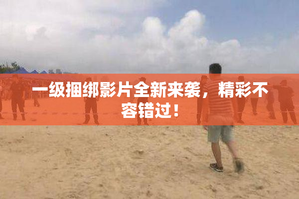 一级捆绑影片全新来袭，精彩不容错过！