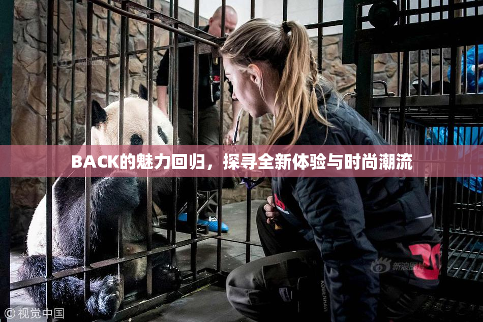 BACK的魅力回归，探寻全新体验与时尚潮流