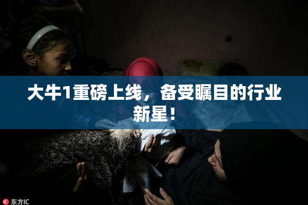 大牛1重磅上线，备受瞩目的行业新星！
