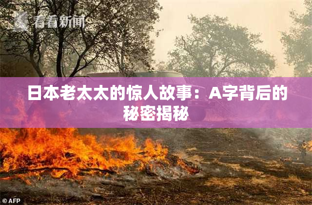 日本老太太的惊人故事：A字背后的秘密揭秘