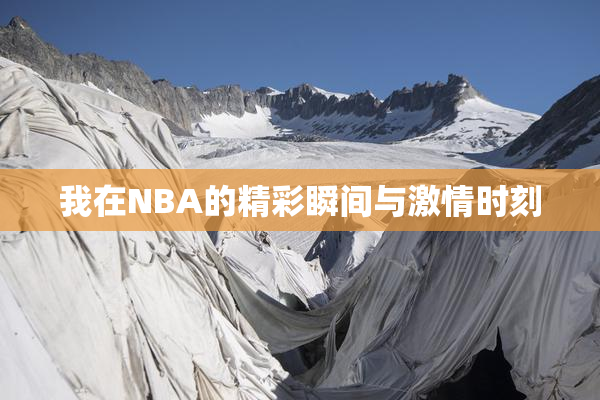 我在NBA的精彩瞬间与激情时刻