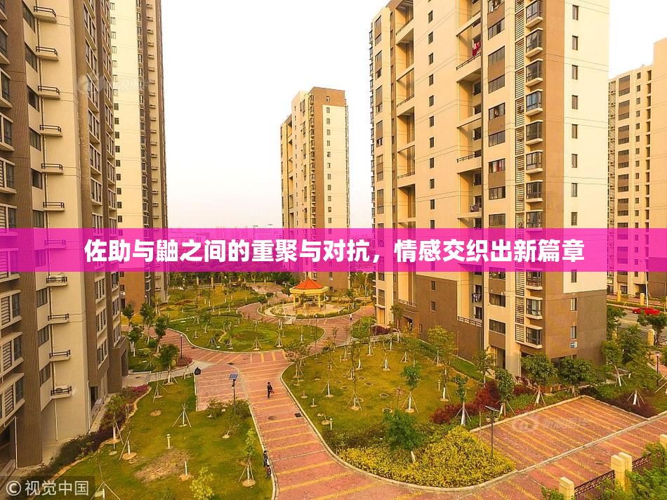 佐助与鼬之间的重聚与对抗，情感交织出新篇章