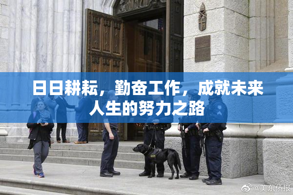 日日耕耘，勤奋工作，成就未来人生的努力之路