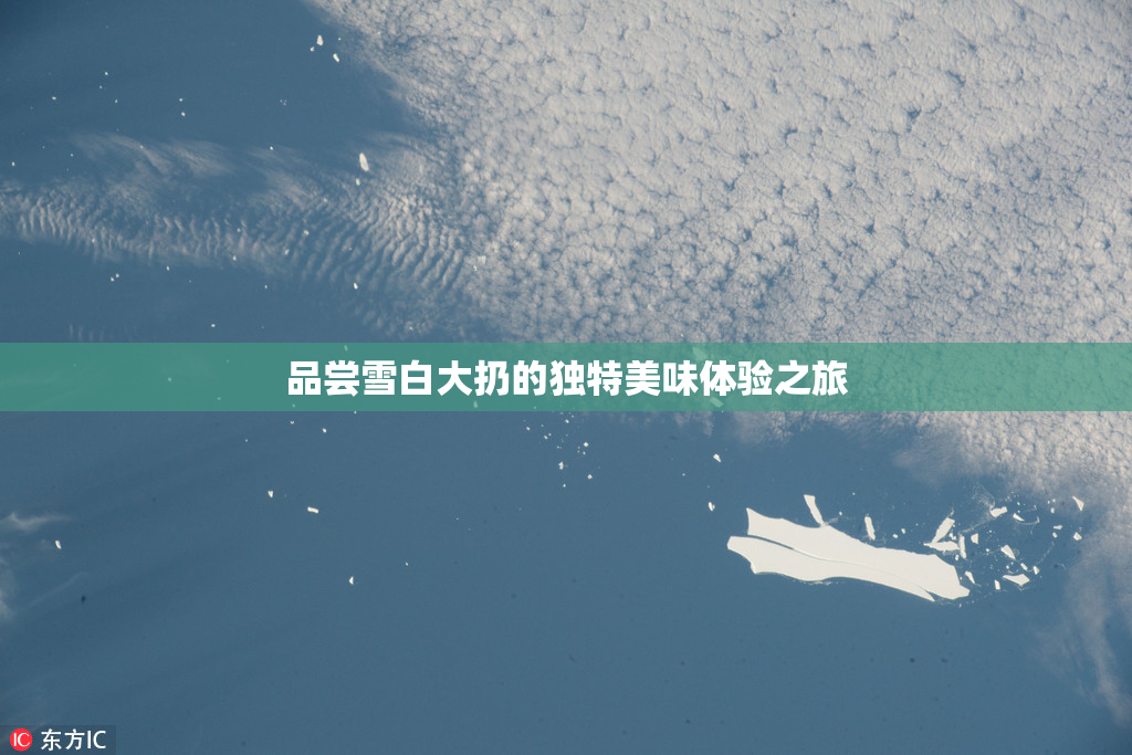 品尝雪白大扔的独特美味体验之旅
