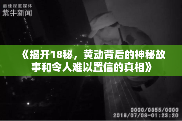 《揭开18秘，黄动背后的神秘故事和令人难以置信的真相》
