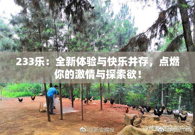 233乐：全新体验与快乐并存，点燃你的激情与探索欲！