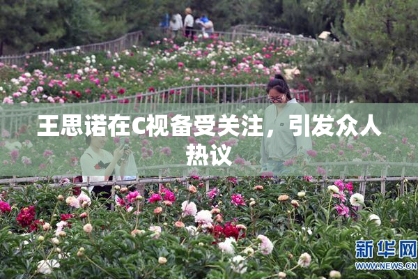王思诺在C视备受关注，引发众人热议