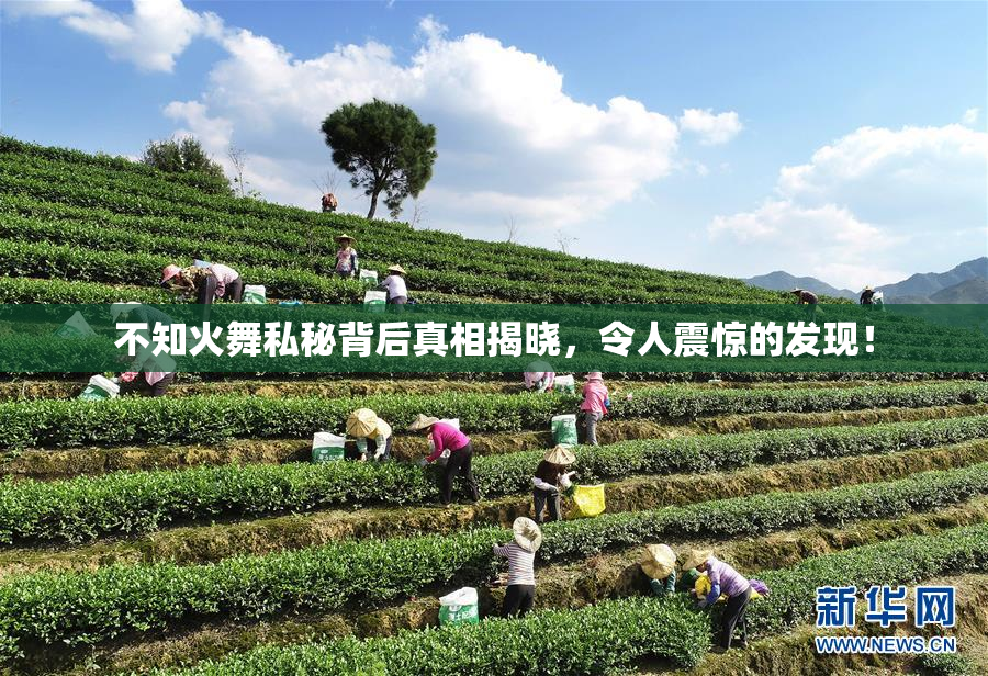 不知火舞私秘背后真相揭晓，令人震惊的发现！