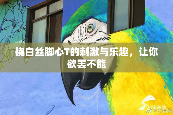 挠白丝脚心T的刺激与乐趣，让你欲罢不能