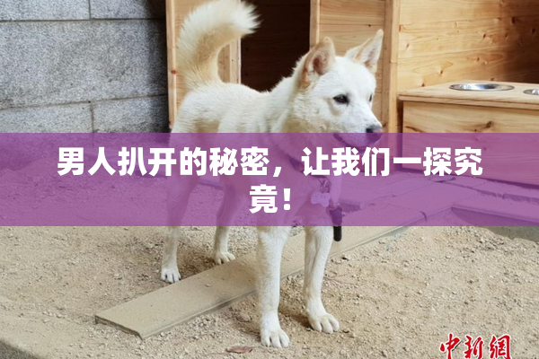男人扒开的秘密，让我们一探究竟！