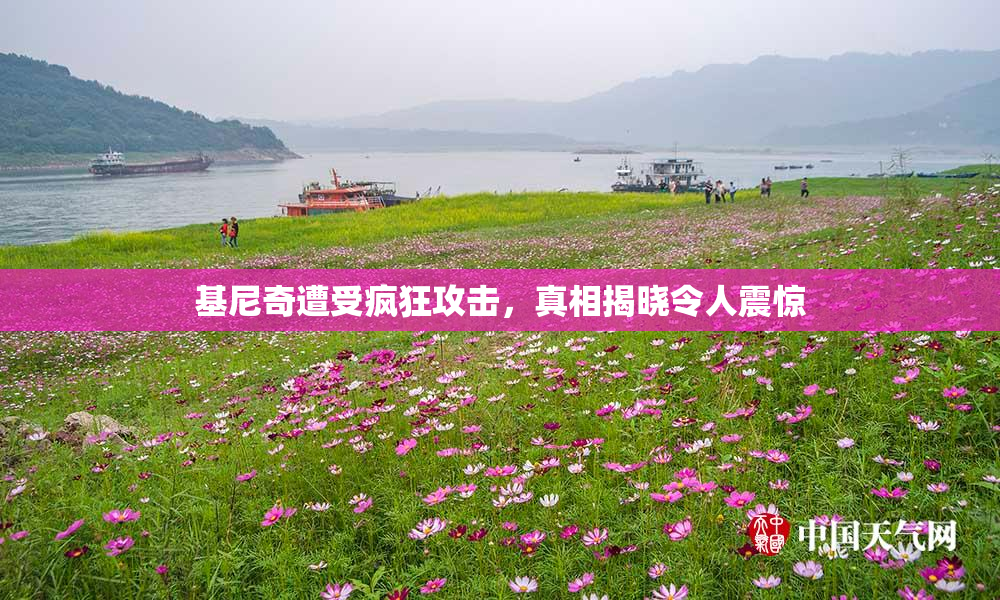 基尼奇遭受疯狂攻击，真相揭晓令人震惊
