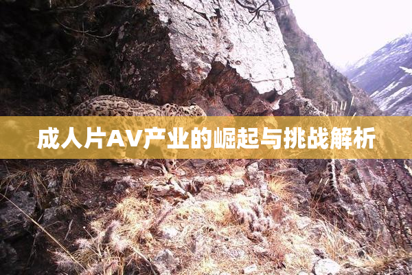 成人片AV产业的崛起与挑战解析