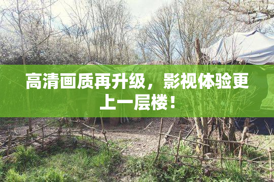 高清画质再升级，影视体验更上一层楼！