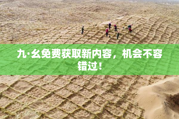 九·幺免费获取新内容，机会不容错过！