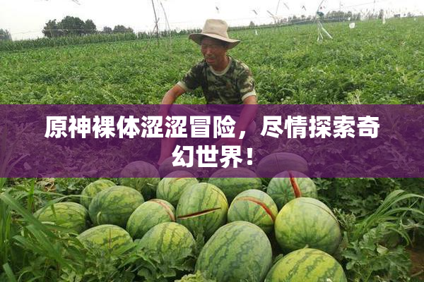 原神裸体涩涩冒险，尽情探索奇幻世界！