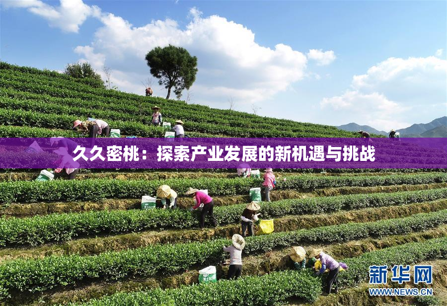 久久密桃：探索产业发展的新机遇与挑战
