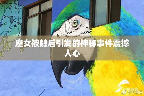 魔女被触后引发的神秘事件震撼人心